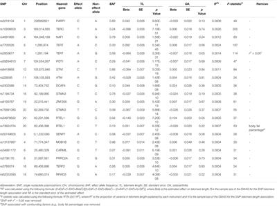 Genetically Predicted Longer Telomere Length May Reduce Risk of Hip Osteoarthritis